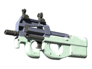 P90 | Storm ( Factory New)