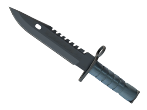 ★ M9 Bayonet | Night ( Minimal Wear)